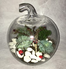 K���k terrarium elma 3 kakt�s me�rutiyet �i�ek�i ma�azas� 