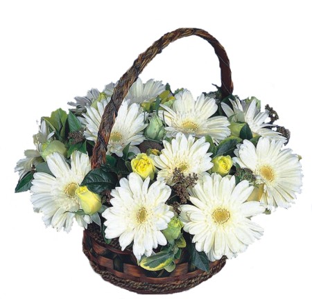 Bat�kent yurti�i �i�ek sipari�i  Sepet i�inde  gerbera aranjmani 