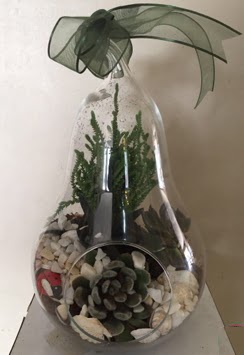 Orta boy armut terrarium 3 kakt�s Bat�kent �i�ek sipari�i sitesi 
