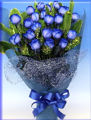 19 adet e�siz mavi g�l buketi �aml�ca mahallesi �i�ek ma�azas� 