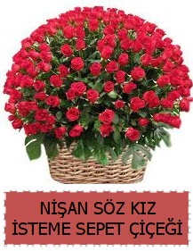 K�z isteme s�z ni�an �i�e�i Sepeti 91 g�ll� Bat�kent �nternetten �i�ek sipari�i 