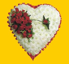 �n�n� mahallesi �i�ek�i telefonlar�  1.20m x 1.20m  Gerbera G�ller