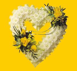 Macunk�y sevgilime hediye �i�ek  1.20m x 1m  Gerbera - G�ller
