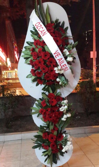 D���n �i�e�i A��l�� �i�e�i Eryaman mahallesi �i�ek�iler 