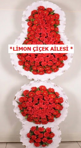 3 katl� k�rm�z� d���n a��l�� �i�e�i Ostim mahallesi internetten �i�ek sat��� 