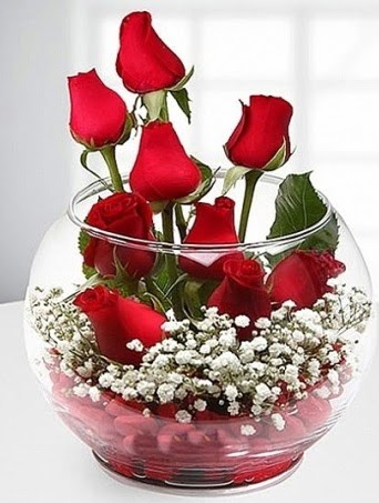 K�rm�z� Mutluluk fanusta 9 k�rm�z� g�l Bat�kent yurti�i �i�ek sipari�i 