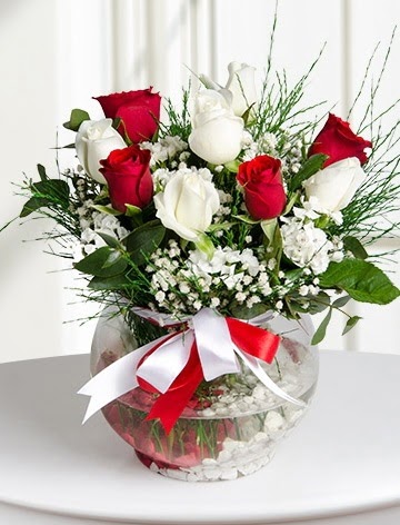 A�k K�resi  5 beyaz 5 k�rm�z� g�l fanusta kaliteli taze ve ucuz �i�ekler 