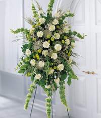 Bat�kent cicek , cicekci  Beyaz karanfil sebboy gerbera