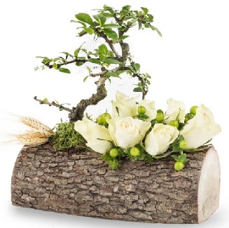 Do�al k�t�kte bonsai a�ac� ve 7 beyaz g�l Bat�kent �nternetten �i�ek sipari�i 