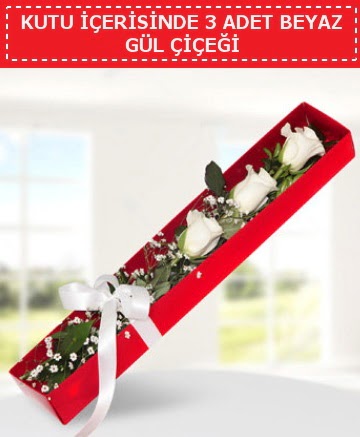 Kutu i�erisinde 3 adet beyaz g�l �i�e�i Ergazi Mahallesi �i�ek g�nderme sitemiz g�venlidir 