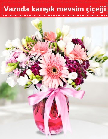 Vazoda kar���k mevsim �i�e�i Eryaman mahallesi �i�ek�iler 