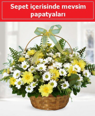 Sepet i�erisinde mevsim papatyalar� Yenimahalle �i�ek online �i�ek sipari�i 