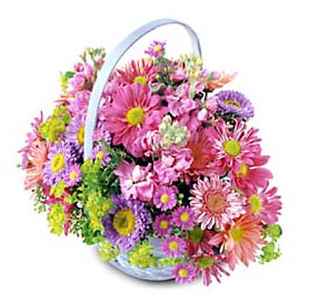 Macunk�y sevgilime hediye �i�ek  Sepet Mevsim �i�eklerinden 