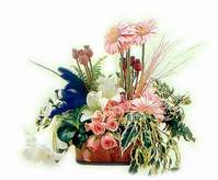 Bat�kent �i�ek servisi , �i�ek�i adresleri  Gerbera sonya g�l lilyum