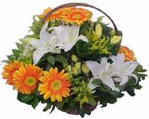 Bat�kent �i�ek servisi , �i�ek�i adresleri  sepet modeli Gerbera kazablanka sepet