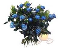 Eryaman mahallesi �i�ek�iler  11 adet mavi g�l �zel tanzim