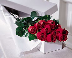 Demetevler Oran 14 �ubat sevgililer g�n� �i�ek  �zel kutuda 12 adet g�l