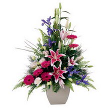 Kardelen mahallesi �i�ek g�nderme  lilyum gerbera iris lilyum