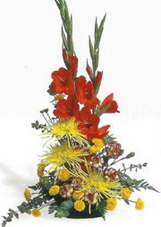 Bat�kent cicek , cicekci  glay�r ve mevsim �i�ekleri