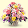�aml�ca mahallesi �i�ek ma�azas�  sepet i�erisinde g�l ve mevsim