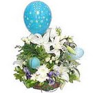 balon ve �i�eklerle tanzim �ak�rlar �i�ek yolla , �i�ek g�nder 