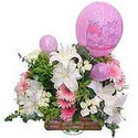 balon ve �i�eklerle tanzim kaliteli taze ve ucuz �i�ekler 