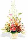 Bat�kent �nternetten �i�ek sipari�i  sepet i�erisinde karma �i�ek