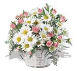pembe g�ller ve krizantemler  Bat� sitesi mahallesi ucuz �i�ek g�nder 