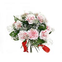 pembe renkte 9 karanfil  Demetevler Oran 14 �ubat sevgililer g�n� �i�ek 