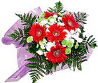karisik gerbera ve kir �i�egi  Macunk�y sevgilime hediye �i�ek 