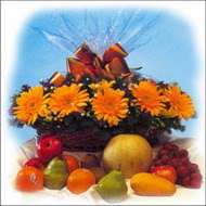 sepette gerbera ve meyvalar  Demetevler �i�ek sipari�i 