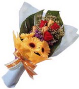 g�ller ve gerbera �i�ekleri  Bat�kent �nternetten �i�ek sipari�i 
