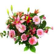 lilyum ve gerbera �i�ekleri - �i�ek se�imi - Ostim mahallesi internetten �i�ek sat��� 
