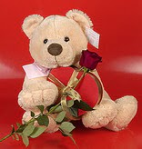 kalp oyuncak ve g�l ��geni  Bat�kent �i�ek g�nderme 