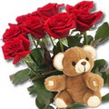 11 adet g�l ve ayicik buket  Bat�kent �i�ek g�nderme 