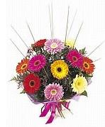 karisik gerbera �i�ekleri Bat�kent �i�ek g�nderme 