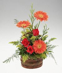 Kentkoop mahallesi �i�ek yolla  sepet i�erisinde 3 g�l ve 3 gerbera tanzimi