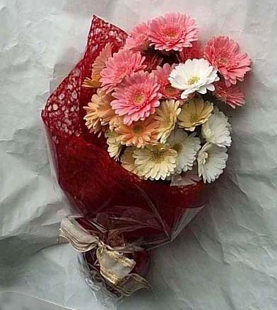 19 adet karisik gerbera buketi Ergazi Mahallesi �i�ek g�nderme sitemiz g�venlidir 
