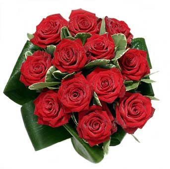 12 adet en sade g�l buketi Ergazi Mahallesi �i�ek g�nderme sitemiz g�venlidir 