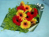 t�l i�erisinde gerbera �i�ekleri 11 adet Ergazi Mahallesi �i�ek g�nderme sitemiz g�venlidir 