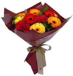 kaliteli taze ve ucuz �i�ekler  13 ADET KARISIK GERBERA BUKETI