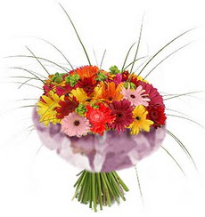 karisik gerbera demeti 15 adet gerberalardan Demetevler �i�ek sipari�i 