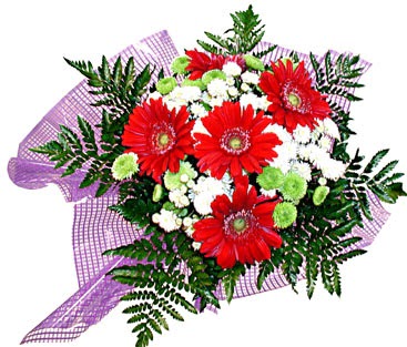 gerbera ve krizantem demeti Demetevler �i�ek sipari�i 