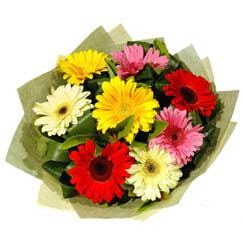 9 adet karisik gerbera demeti me�rutiyet �i�ek�i ma�azas� 