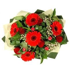 Yenimahalle �i�ek online �i�ek sipari�i   5 adet kirmizi g�l 5 adet gerbera demeti