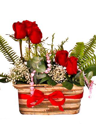 �aml�ca mahallesi �i�ek ma�azas�  SEVDIM DIYENLERE �rme sepet 9 adet kirmizi g�l