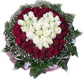 me�rutiyet �i�ek�i ma�azas�  27 adet kirmizi ve beyaz g�l sepet i�inde