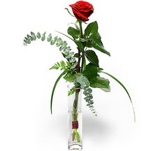Sincan �i�ek sipari�i  Sana deger veriyorum bir adet g�l cam yada mika vazoda