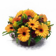 gerbera ve kir �i�ek masa aranjmani �vedik g�venli kaliteli h�zl� �i�ek 