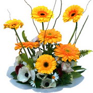 camda gerbera ve mis kokulu kir �i�ekleri Macunk�y sevgilime hediye �i�ek 
